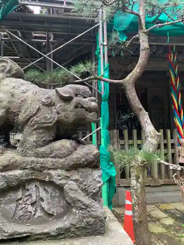 川口神社の狛犬