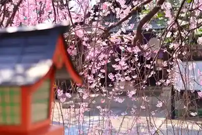 猿田彦神社(東京都)