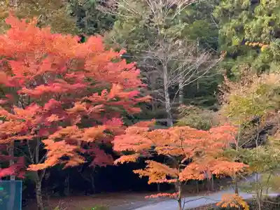 岩滝寺(兵庫県)
