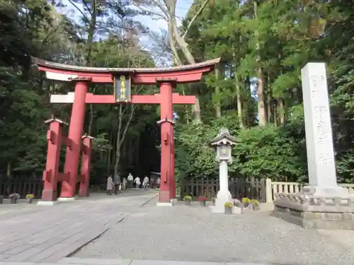 彌彦神社の鳥居