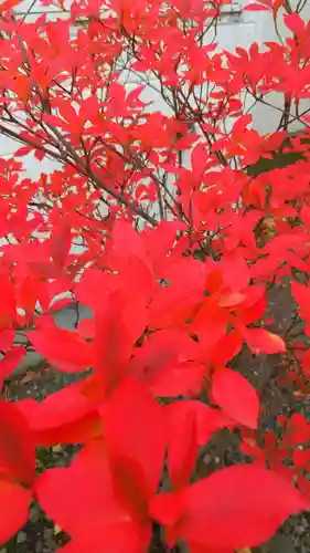 彌彦神社　(伊夜日子神社)の自然