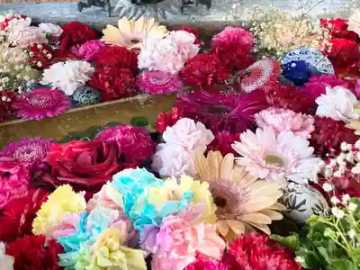 札幌諏訪神社の手水舎