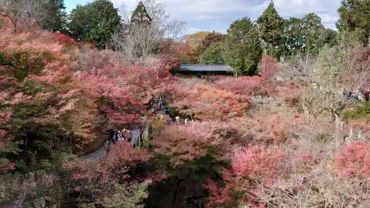 東福禅寺(東福寺)の{uncategorized: "未分類", other: "その他", undefined: "問題あり", building: "その他建物", grave: "お墓", sacred_gate: "鳥居", guardian: "狛犬", statue: "像", buddha: "仏像", history: "歴史", nature: "自然", garden: "庭園", animal: "動物", pagoda: "塔", temizu: "手水舎", mountain_gate: "山門・神門", sanctuary: "本殿・本堂", subordinate: "末社・摂社", art: "芸術", scenery: "景色", jizo: "地蔵", ema: "絵馬", goshuin: "御朱印", omikuji: "おみくじ", items: "授与品その他", amulet: "お守り", goshuincho: "御朱印帳", eats: "食事", festival: "お祭り", votive_dance: "神楽", shichigosan: "七五三参", wedding: "結婚式", experience: "体験その他", initially: "初詣", around: "周辺", anti_infection: "感染症対策"}