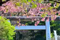 五條天神社の鳥居