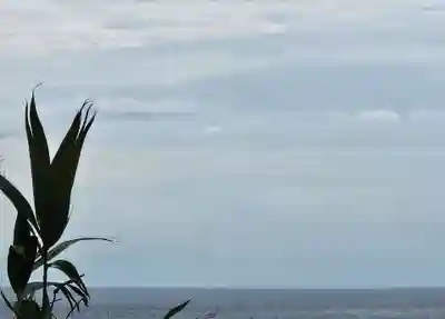 洲崎神社(千葉県)