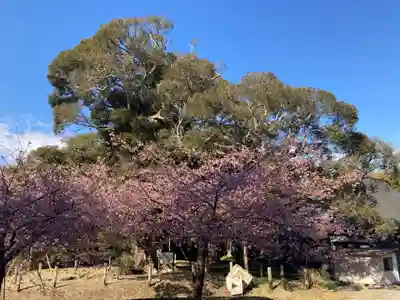 寂光寺(千葉県)