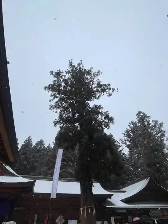 穂高神社本宮(長野県)