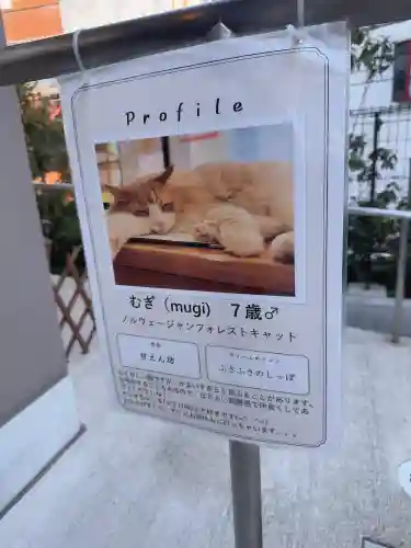 駒込妙義神社の{uncategorized: "未分類", other: "その他", undefined: "問題あり", building: "その他建物", grave: "お墓", sacred_gate: "鳥居", guardian: "狛犬", statue: "像", buddha: "仏像", history: "歴史", nature: "自然", garden: "庭園", animal: "動物", pagoda: "塔", temizu: "手水舎", mountain_gate: "山門・神門", sanctuary: "本殿・本堂", subordinate: "末社・摂社", art: "芸術", scenery: "景色", jizo: "地蔵", ema: "絵馬", goshuin: "御朱印", omikuji: "おみくじ", items: "授与品その他", amulet: "お守り", goshuincho: "御朱印帳", eats: "食事", festival: "お祭り", votive_dance: "神楽", shichigosan: "七五三参", wedding: "結婚式", experience: "体験その他", initially: "初詣", around: "周辺", anti_infection: "感染症対策"}