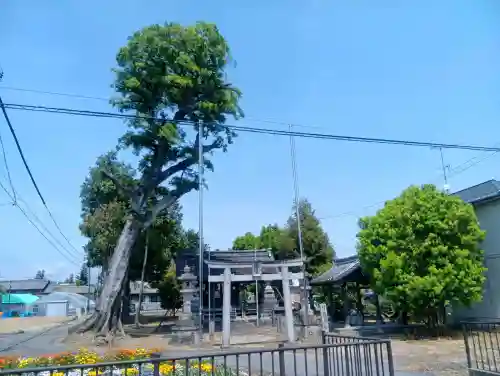 貴船神社の{uncategorized: "未分類", other: "その他", undefined: "問題あり", building: "その他建物", grave: "お墓", sacred_gate: "鳥居", guardian: "狛犬", statue: "像", buddha: "仏像", history: "歴史", nature: "自然", garden: "庭園", animal: "動物", pagoda: "塔", temizu: "手水舎", mountain_gate: "山門・神門", sanctuary: "本殿・本堂", subordinate: "末社・摂社", art: "芸術", scenery: "景色", jizo: "地蔵", ema: "絵馬", goshuin: "御朱印", omikuji: "おみくじ", items: "授与品その他", amulet: "お守り", goshuincho: "御朱印帳", eats: "食事", festival: "お祭り", votive_dance: "神楽", shichigosan: "七五三参", wedding: "結婚式", experience: "体験その他", initially: "初詣", around: "周辺", anti_infection: "感染症対策"}