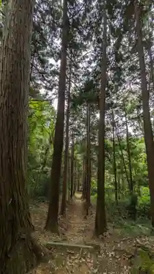 若宮八幡社(東京都)
