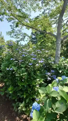 高林寺(福島県)