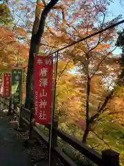 唐澤山神社の自然