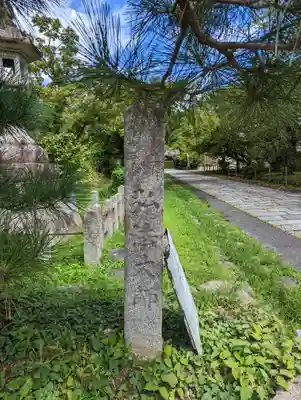 神光院(京都府)