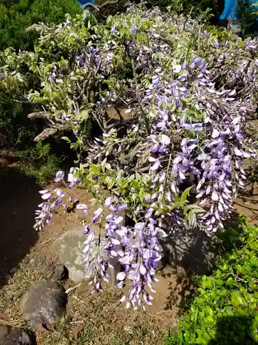 本寿院(東京都)