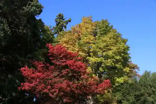 豊景神社の庭園