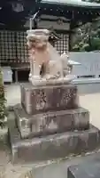 素盞嗚尊神社(江坂神社)の狛犬