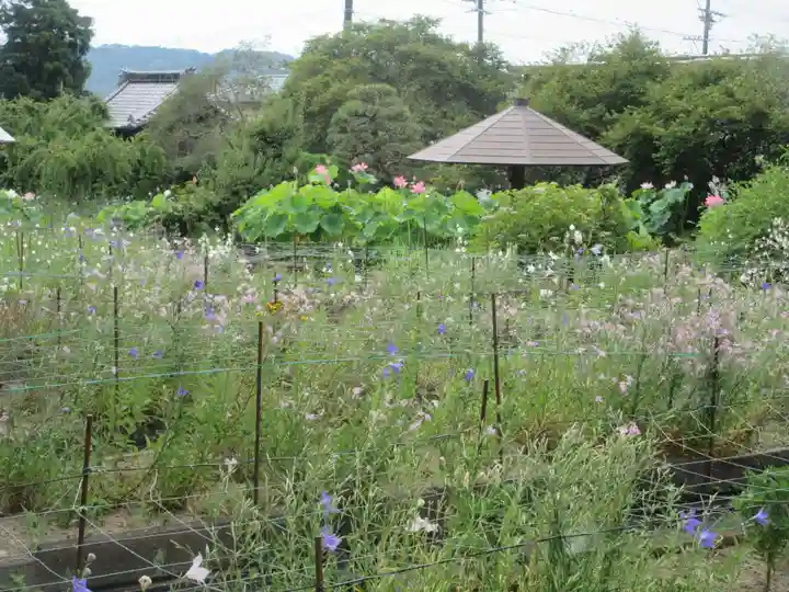 香勝寺(静岡県)