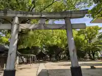 八幡社(篠原八幡社)の{uncategorized: "未分類", other: "その他", undefined: "問題あり", building: "その他建物", grave: "お墓", sacred_gate: "鳥居", guardian: "狛犬", statue: "像", buddha: "仏像", history: "歴史", nature: "自然", garden: "庭園", animal: "動物", pagoda: "塔", temizu: "手水舎", mountain_gate: "山門・神門", sanctuary: "本殿・本堂", subordinate: "末社・摂社", art: "芸術", scenery: "景色", jizo: "地蔵", ema: "絵馬", goshuin: "御朱印", omikuji: "おみくじ", items: "授与品その他", amulet: "お守り", goshuincho: "御朱印帳", eats: "食事", festival: "お祭り", votive_dance: "神楽", shichigosan: "七五三参", wedding: "結婚式", experience: "体験その他", initially: "初詣", around: "周辺", anti_infection: "感染症対策"}