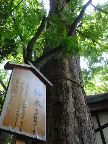 川越氷川神社の自然