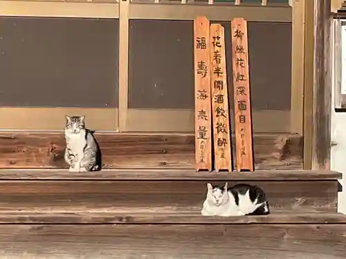 一心寺・一心禅寺(愛知県)