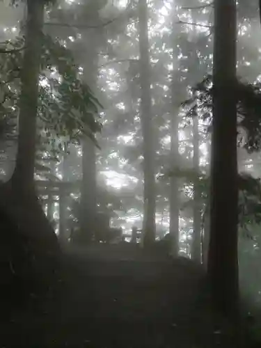 玉置神社の{uncategorized: "未分類", other: "その他", undefined: "問題あり", building: "その他建物", grave: "お墓", sacred_gate: "鳥居", guardian: "狛犬", statue: "像", buddha: "仏像", history: "歴史", nature: "自然", garden: "庭園", animal: "動物", pagoda: "塔", temizu: "手水舎", mountain_gate: "山門・神門", sanctuary: "本殿・本堂", subordinate: "末社・摂社", art: "芸術", scenery: "景色", jizo: "地蔵", ema: "絵馬", goshuin: "御朱印", omikuji: "おみくじ", items: "授与品その他", amulet: "お守り", goshuincho: "御朱印帳", eats: "食事", festival: "お祭り", votive_dance: "神楽", shichigosan: "七五三参", wedding: "結婚式", experience: "体験その他", initially: "初詣", around: "周辺", anti_infection: "感染症対策"}