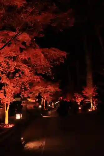 尊永寺(静岡県)