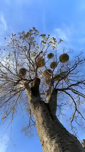 住吉神社(滋賀県)