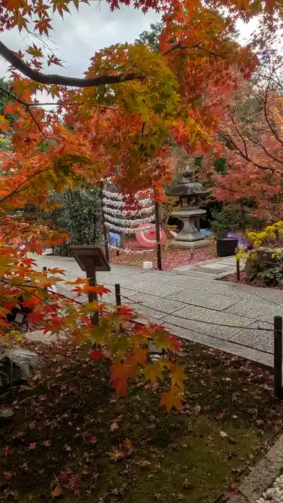 勝林寺(京都府)