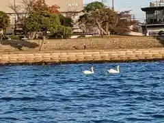 竹生島神社(島根県)