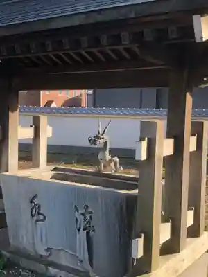 寿福寺の手水舎