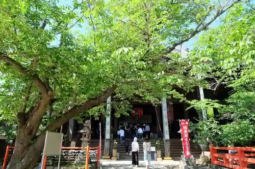 金剛宝寺（紀三井寺）の本殿・本堂
