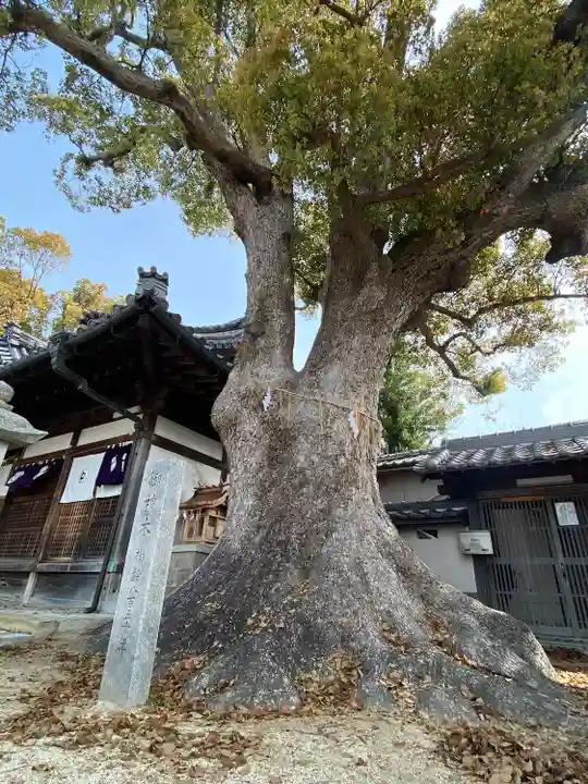 踞尾八幡神社(大阪府)