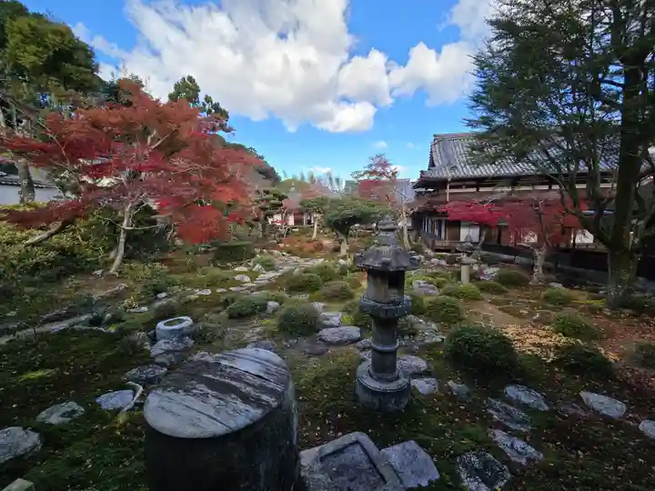 金剛寺(大阪府)