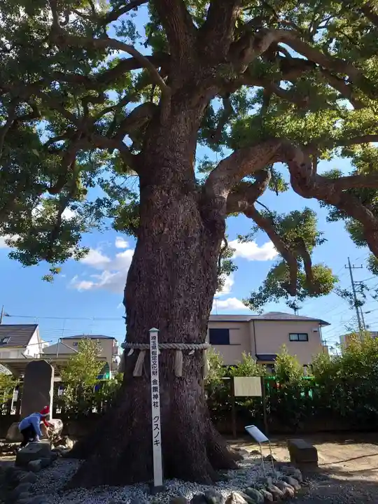 金鑚神社の自然