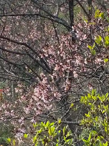 瑞岩寺(栃木県)
