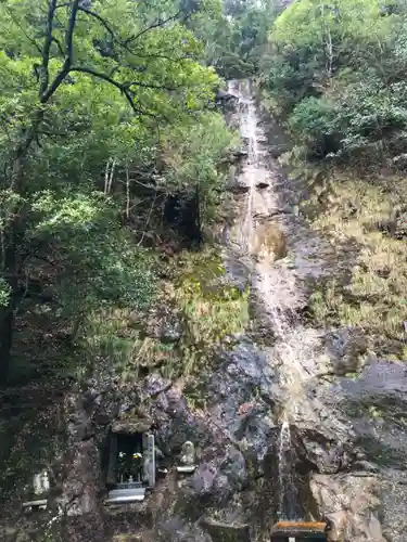 満願滝弁財天の自然