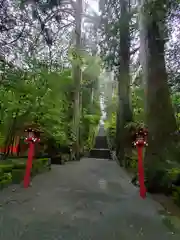 箱根神社の自然