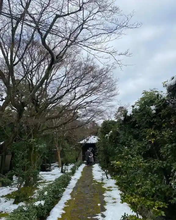 大光院(京都府)