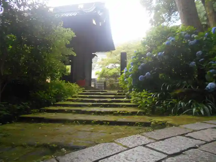 妙本寺の山門・神門