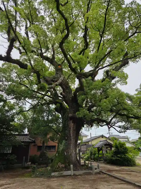 日枝神社(佐賀県)