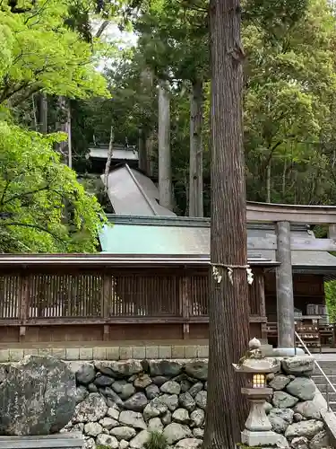 丹生川上神社（下社）(奈良県)