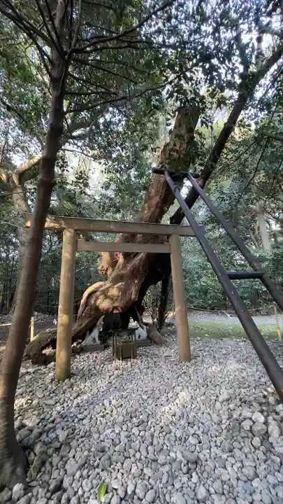 月夜見宮(豊受大神宮別宮)(三重県)