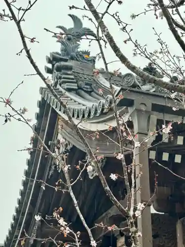 本圀寺の建物その他