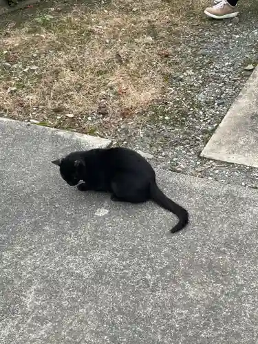 前玉神社の動物