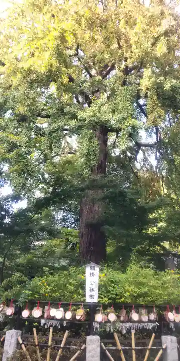 七社神社(東京都)
