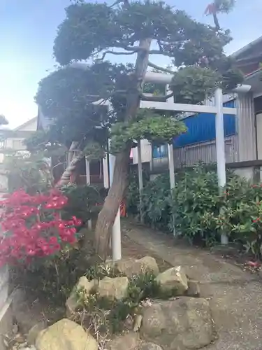 白藤稲荷社(神奈川県)