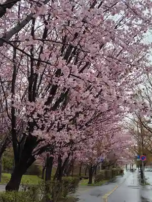 厚別神社(北海道)