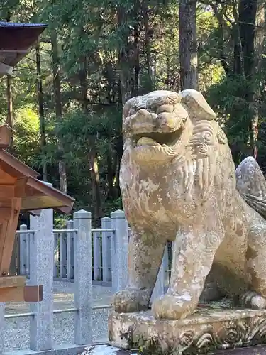 丹生神社の狛犬