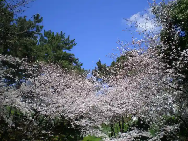 光雲神社の自然