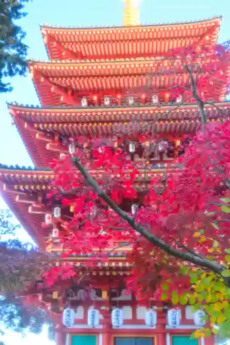 高幡不動尊　金剛寺(東京都)